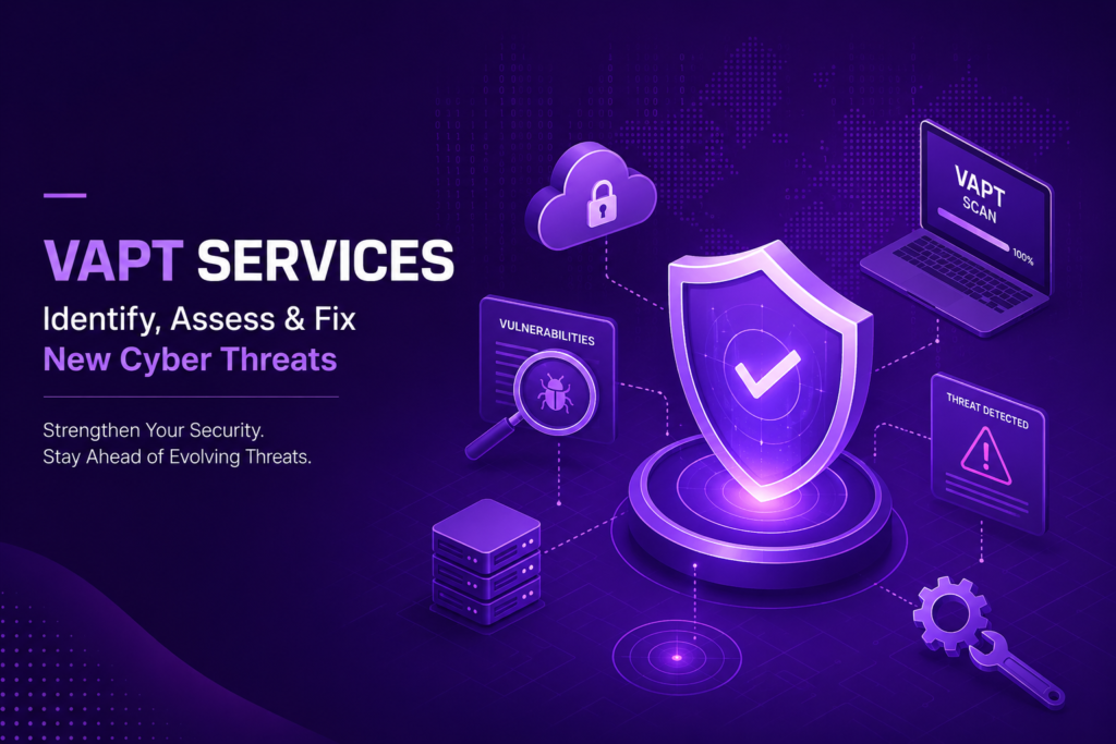VAPT services